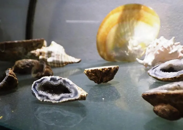 Hotel Del Mare Rimini