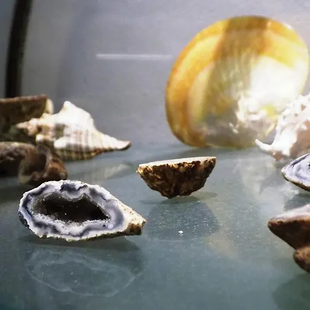 Hotel Del Mare Rimini